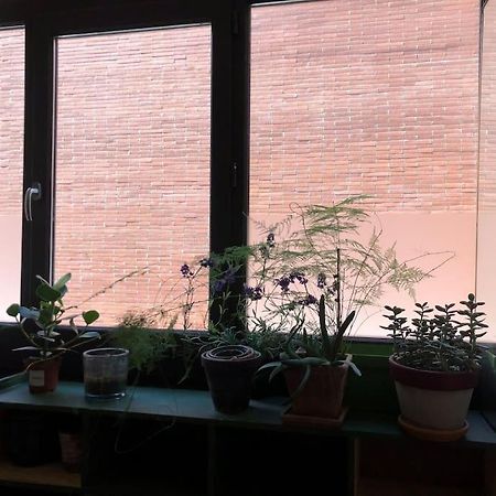 Logement De Charme Aux Carmes Toulouse Ngoại thất bức ảnh