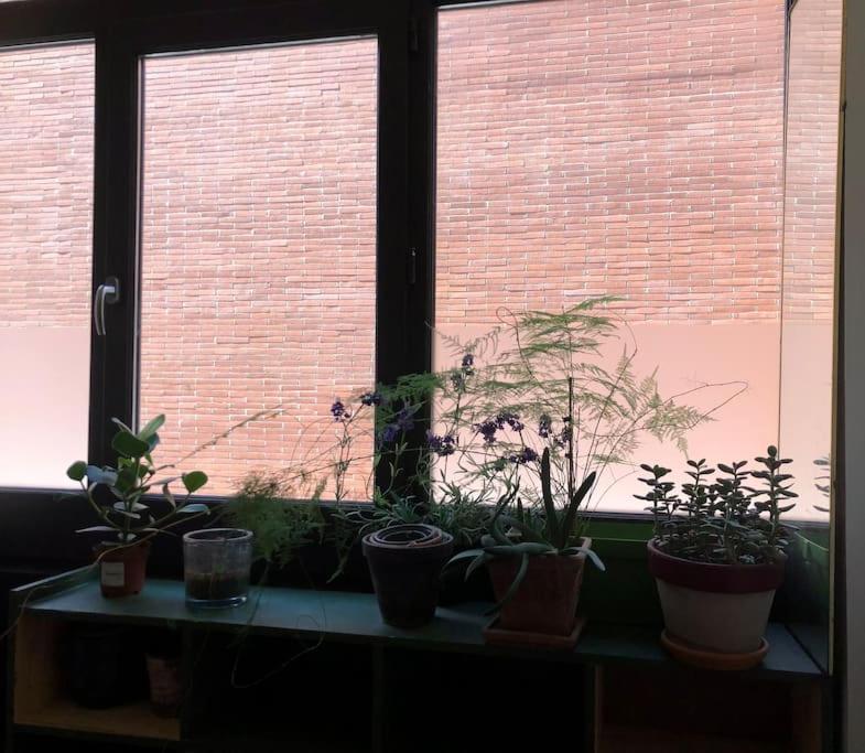 Logement De Charme Aux Carmes Toulouse Ngoại thất bức ảnh